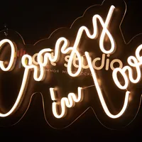 Неоновая вывеска Crazy in Love для стен и интерьера — фото 3