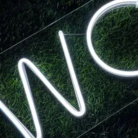 Неоновая табличка WC для ванной комнаты и общественных помещений — фото 3