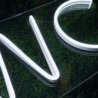 Неоновая табличка WC для ванной комнаты и общественных помещений — фото 5