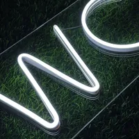 Неоновая табличка WC для ванной комнаты и общественных помещений — фото 6