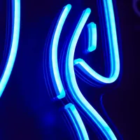 Женский силуэт — фото 2